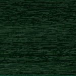 Deco RAL 6009 – Fir Green