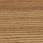 Mountain Pine